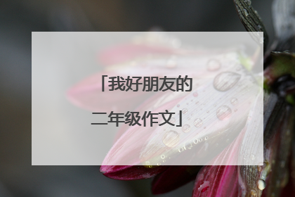 我好朋友的二年级作文