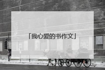 我心爱的书作文