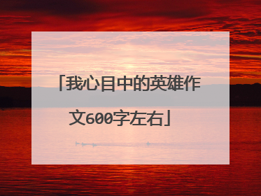 我心目中的英雄作文600字左右