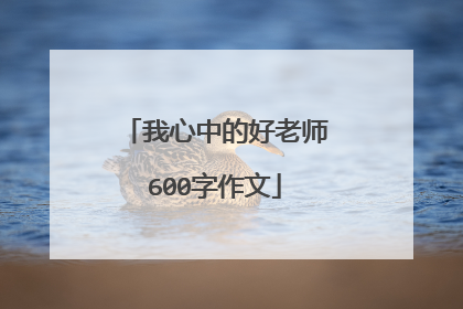 我心中的好老师600字作文