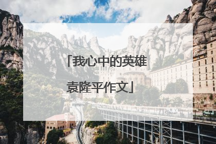 我心中的英雄袁隆平作文
