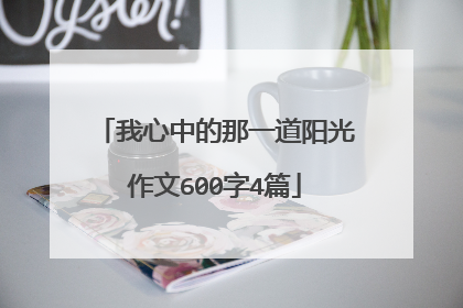 我心中的那一道阳光作文600字4篇