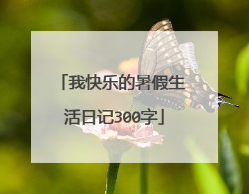 我快乐的暑假生活日记300字