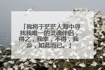 我将于茫茫人海中寻找我唯一的灵魂伴侣，得之，我幸，不得，我命，如此而已。