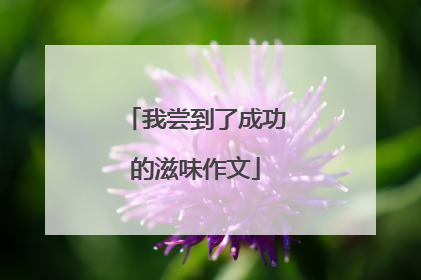 我尝到了成功的滋味作文