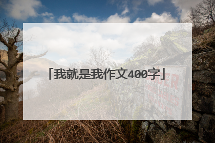 我就是我作文400字