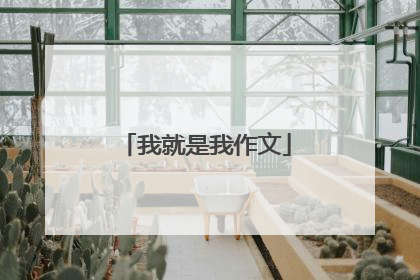 我就是我作文
