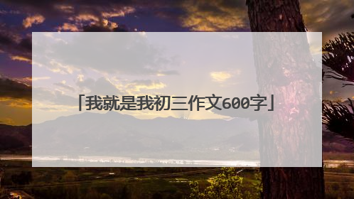 我就是我初三作文600字