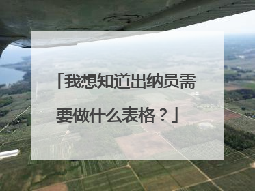 我想知道出纳员需要做什么表格?