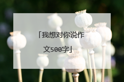 我想对你说作文500字