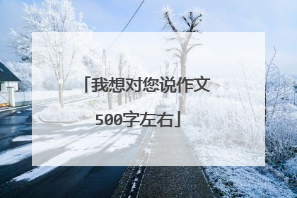 我想对您说作文500字左右