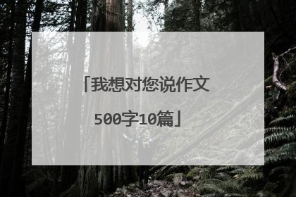 我想对您说作文500字10篇