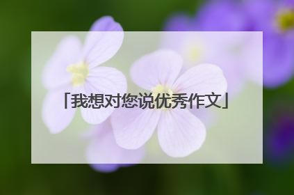 我想对您说优秀作文