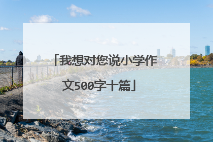 我想对您说小学作文500字十篇