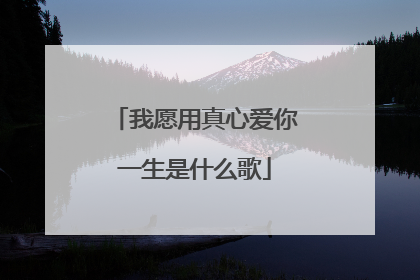 我愿用真心爱你一生是什么歌