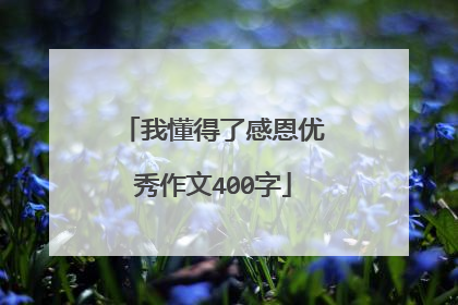 我懂得了感恩优秀作文400字