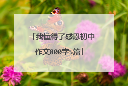 我懂得了感恩初中作文800字5篇