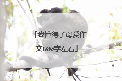 我懂得了母爱作文600字左右