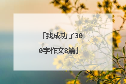 我成功了300字作文8篇
