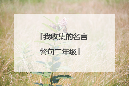 我收集的名言警句二年级