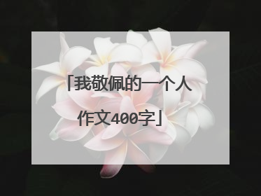 我敬佩的一个人作文400字