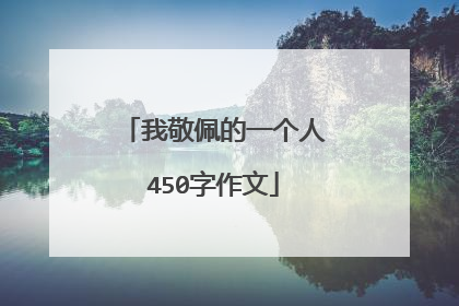 我敬佩的一个人450字作文