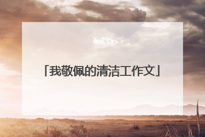 我敬佩的清洁工作文