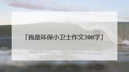 我是环保小卫士作文300字