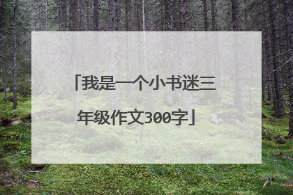 我是一个小书迷三年级作文300字