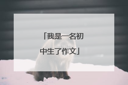 我是一名初中生了作文