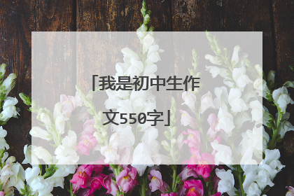 我是初中生作文550字