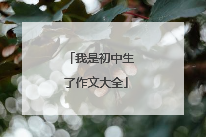 我是初中生了作文大全