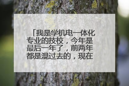 我是学机电一体化专业的技校，今年是最后一年了，前两年都是混过去的，现在后悔了，快毕业了，以后我该...