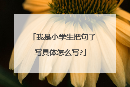 我是小学生把句子写具体怎么写?