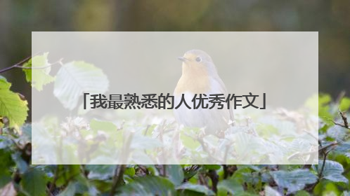 我最熟悉的人优秀作文