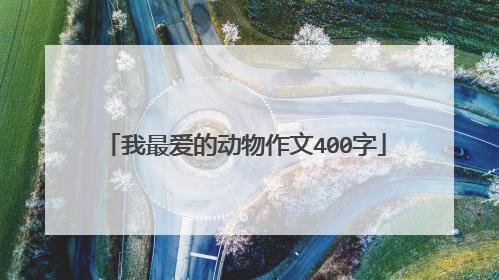 我最爱的动物作文400字