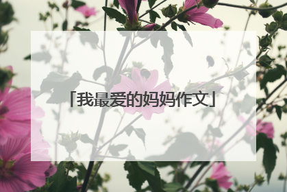 我最爱的妈妈作文