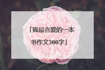 我最喜爱的一本书作文300字