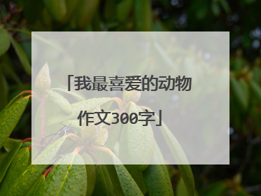 我最喜爱的动物作文300字