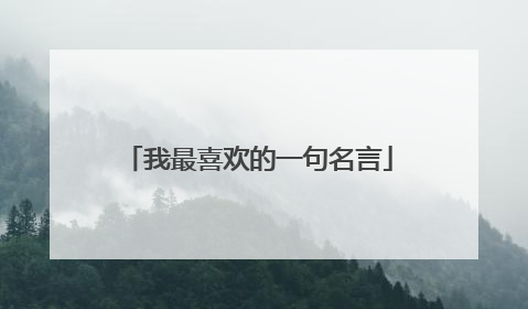 我最喜欢的一句名言
