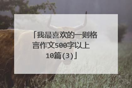 我最喜欢的一则格言作文500字以上10篇(3)