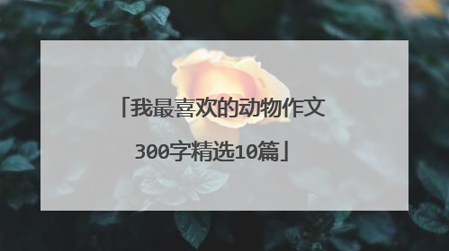 我最喜欢的动物作文300字精选10篇