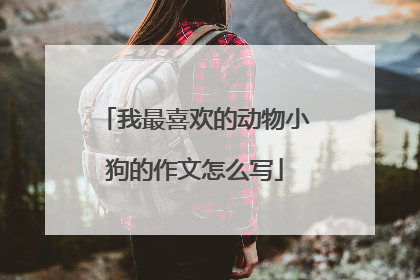 我最喜欢的动物小狗的作文怎么写