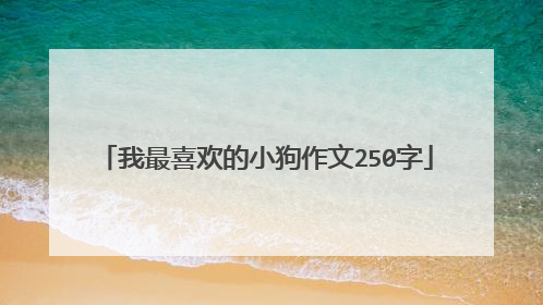 我最喜欢的小狗作文250字