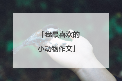 我最喜欢的小动物作文
