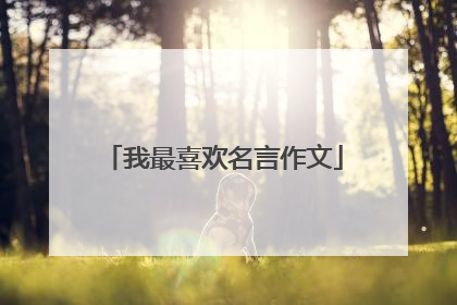 我最喜欢名言作文