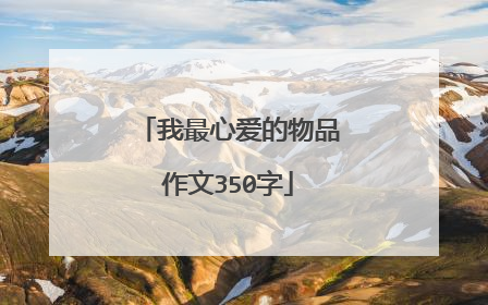 我最心爱的物品作文350字