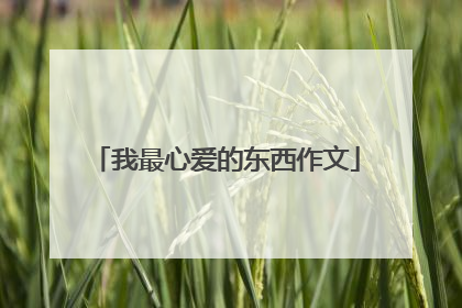 我最心爱的东西作文