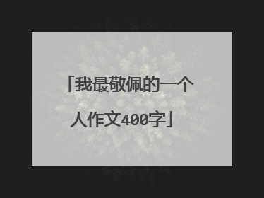 我最敬佩的一个人作文400字