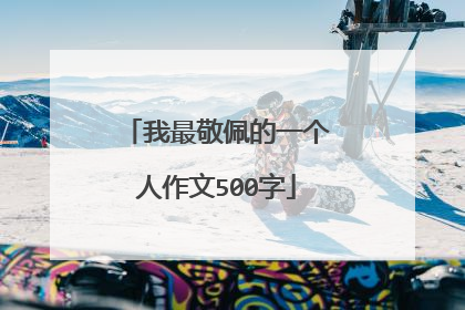 我最敬佩的一个人作文500字